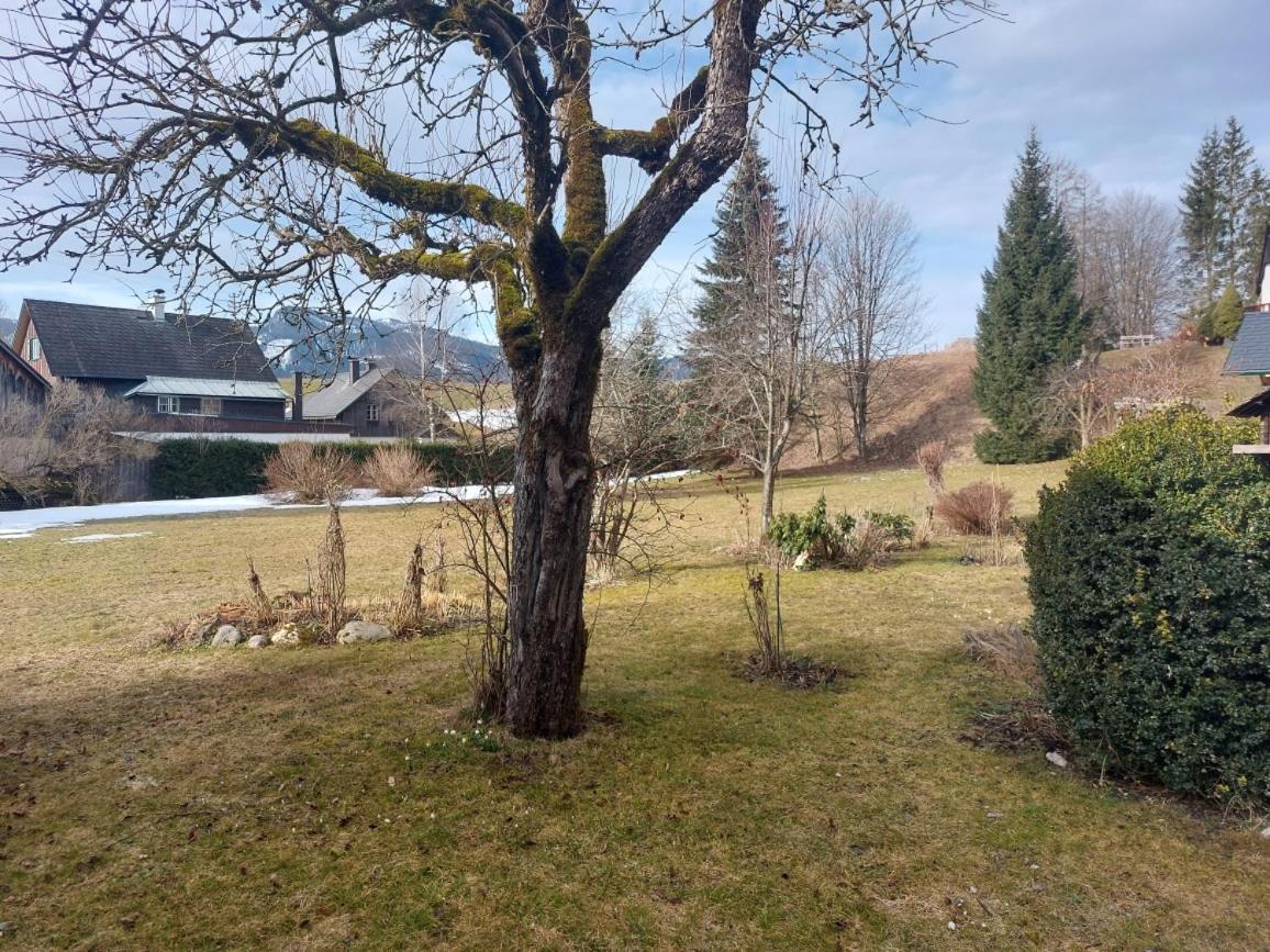 Ferienwohnung Salzafeld Bad Mitterndorf Luaran gambar
